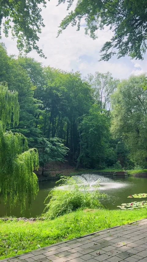 A beautiful park pond features a spraying fountain under bright daylight. 스톡 동영상 344177634