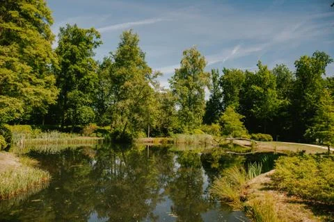 In a beautiful park pond Stock Photos