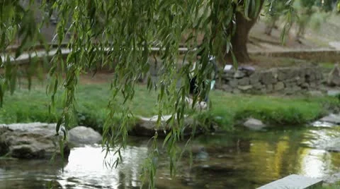Beautiful park river Stock Footage 8909344
