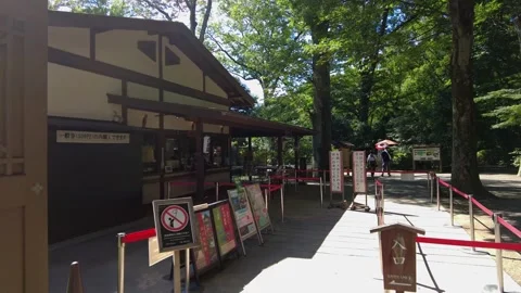 The beautiful park in Tokyo Stock Footage 247045426