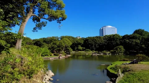 The beautiful park in Tokyo Stock Footage 247065006