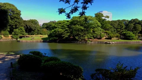 The beautiful park in Tokyo Stock Footage 247065285