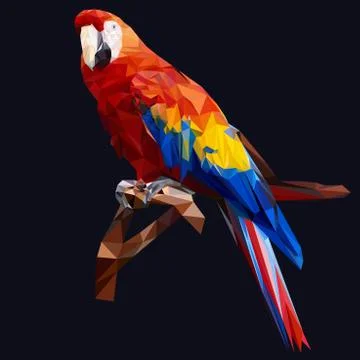Beautiful parrot Stock Illustration