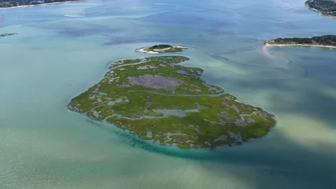 A Beautiful Patch of Salt Marsh Thrives in Pleasant Bay, Cape Cod, MA Stock Footage 342296061