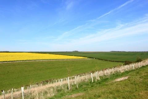 Beautiful patchwork fields and meadows with golden rapeseed crops f Stock Photos