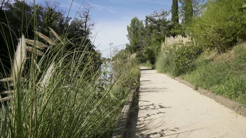 Beautiful path along the river in the public park, 4K footage Vídeo Stock 117164487