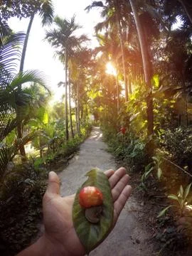 Beautiful path with beautiful view Stock Photos