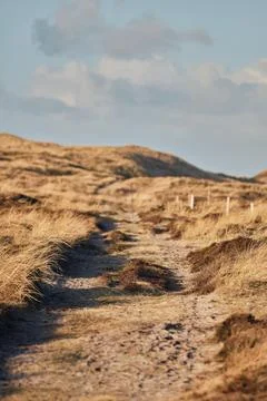 Beautiful path in dune landscape at Denmarks west coast Foto stock