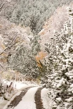 Beautiful path in the first autumn snow in Bordes de Envalira, Canillo, Andor Stock Photos