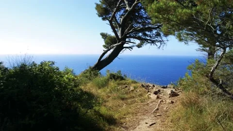 Beautiful path leading to the view of the sea Stock Footage 161494590