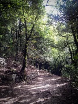 Beautiful path in Mount Subasio, Assisi, Italy Stock Photos