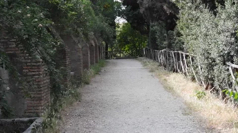 Beautiful path in the park with trees and leaves at fall Vídeo Stock 206502853