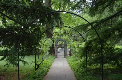 Beautiful path Stock Photos
