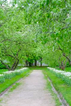 Beautiful path in the spring Park Stock Photos