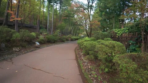 A beautiful path surrounded by trees and nature in Nikko Stock Footage 332212624