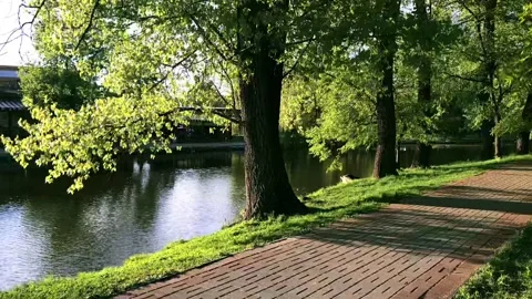 A beautiful path in the time-lapse park. Stock Footage 161265608