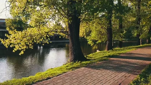 A beautiful path in the time-lapse park. Stock Footage 161269163