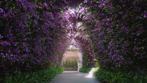 Beautiful pathway covered with vibrant purple flowers, creating serene Video stock 281010954
