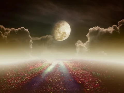 Beautiful pathway path to tranquil nighttime sky. Vintage tone. Foto stock