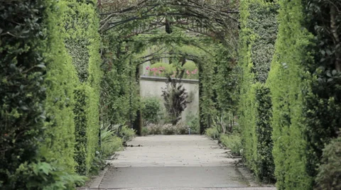 Beautiful pathway through garden Stock Footage 38860283