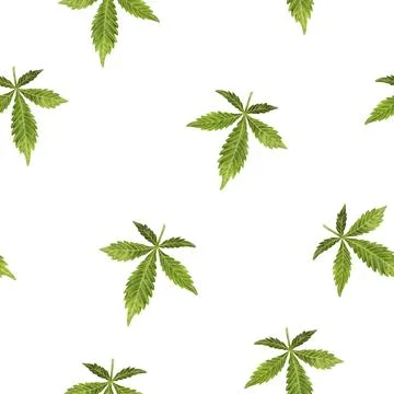 A Beautiful Pattern of Cannabis Leaves Set Against a White Background, Creating Stock Illustration