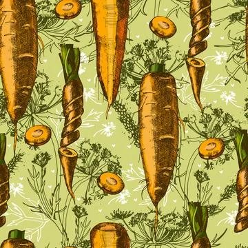 Beautiful pattern with carrot Stock Illustration