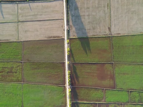 Beautiful pattern of farmland as view from above. Video stock 80357212