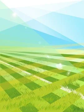Beautiful pattern of fresh green grass for football sport Stock Illustration