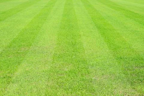 Beautiful pattern of fresh green grass for football sport, football field, so Stock Photos