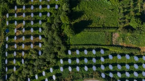 Beautiful pattern of many solar panels, that staying on the ground. Stock Photos
