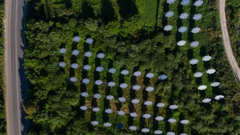 Beautiful pattern of many solar panels, that staying on the ground. Stock Photos