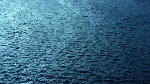 Beautiful pattern of seawater. View from above. Video stock 335892807