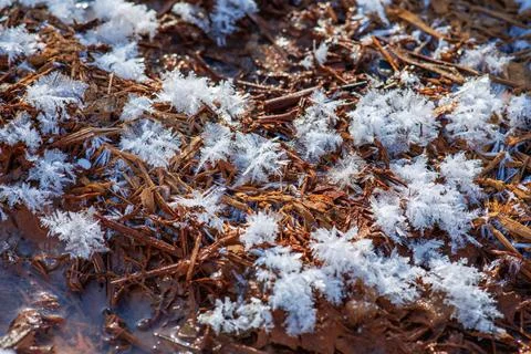 Beautiful pattern of snowflakes on the spring ground. Stock Photos