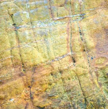 Beautiful pattern in stone at the coast Stock Photos