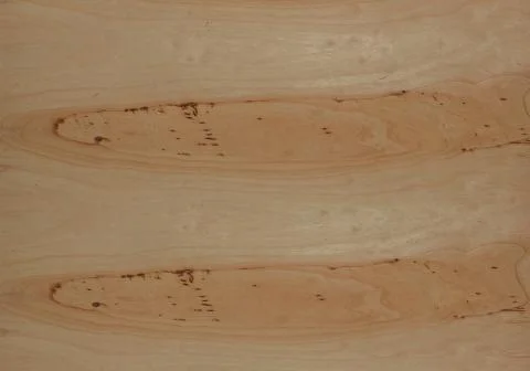 Beautiful pattern on wood. Stock Photos