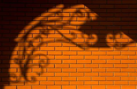 Beautiful patterned shadow on a red brick wall. Stock Photos