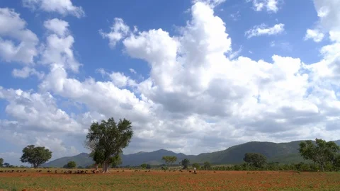 Beautiful patterns of clouds over a field and mountain range in rural India 動画素材 111304022