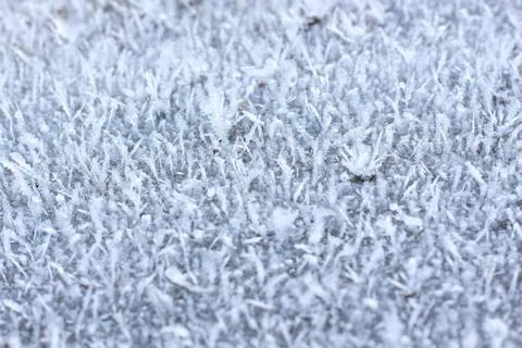 Beautiful patterns of hoarfrost Stock Photos