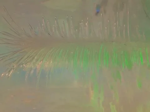 Beautiful patterns in the ice. Stock Photos