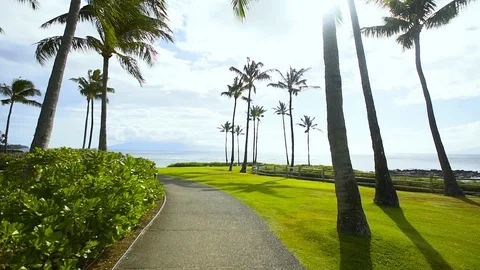 Beautiful paved trail between tropical trees on the ocean shore of resort Stock Footage 101127028