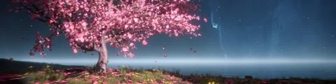 The beautiful peach tree stage background plays in a loop during the night. 스톡 동영상 333569584