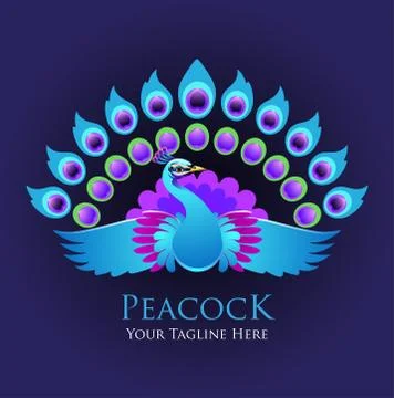 Beautiful peacock Stock Illustration