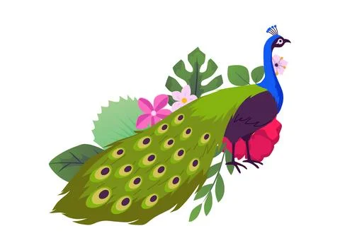 Beautiful peacock with put down amazing tail, tropical flora, vector peafowl Stock Illustration