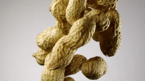 Beautiful peanuts falling in slow motion Stock Footage 151042831