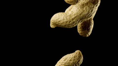 Beautiful peanuts falling in slow motion Stock Footage 151109183