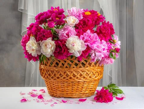 Beautiful peons in a basket on the table Stock Photos