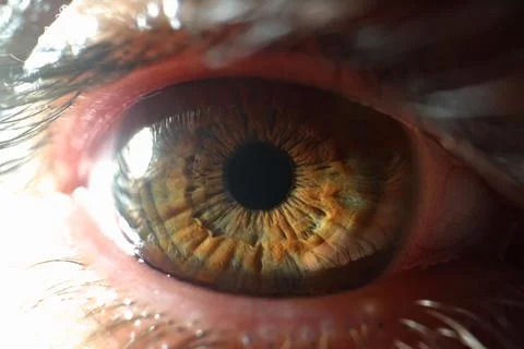 Beautiful person eye with fluffy eyelashes, macro shot of human eye looking on Stock Photos