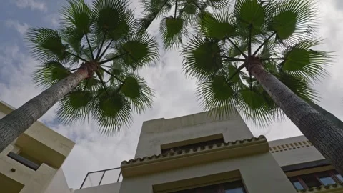A Beautiful Perspective View of Palm Trees Against a Dramatic Cloudy Sky in Stock Footage 307174242