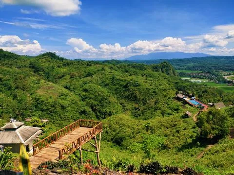 Beautiful Stock-Fotos