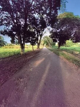 Beautiful Stock Photos